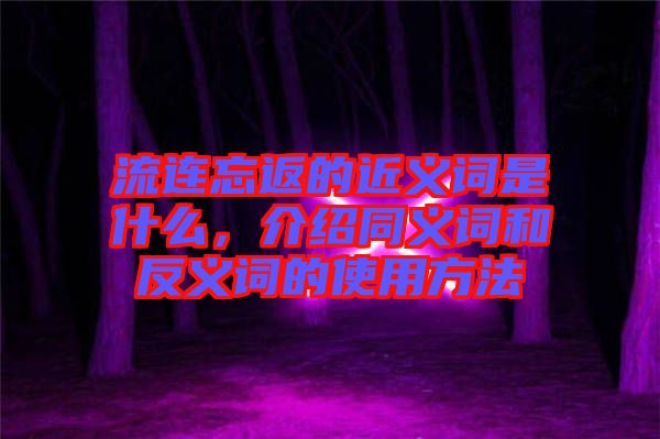 流連忘返的近義詞是什么，介紹同義詞和反義詞的使用方法