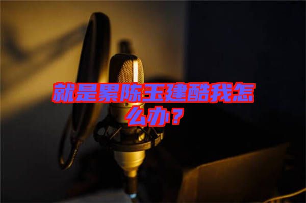 就是累陳玉建酷我怎么辦？