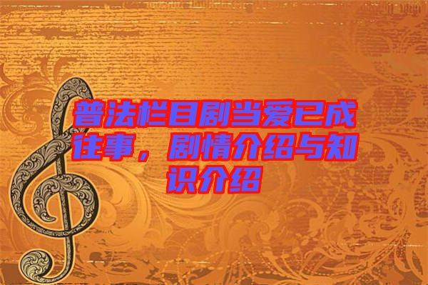 普法欄目劇當愛已成往事，劇情介紹與知識介紹