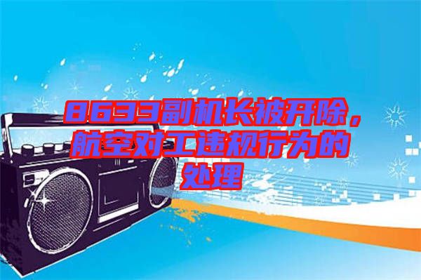 8633副機長被開除，航空對工違規(guī)行為的處理