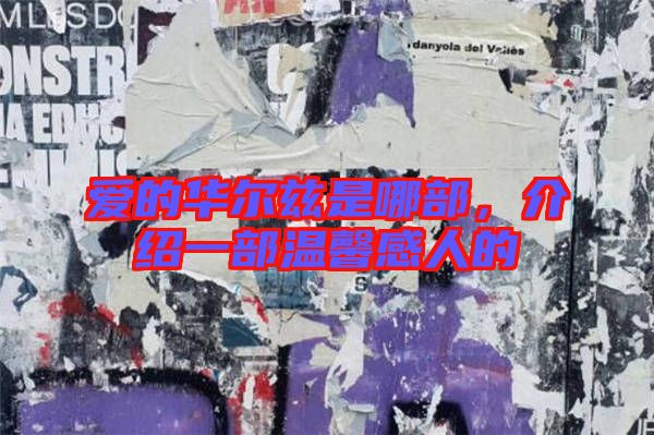 愛(ài)的華爾茲是哪部，介紹一部溫馨感人的