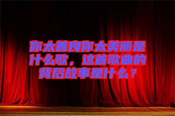 你太善良你太美麗是什么歌，這首歌曲的背后故事是什么？