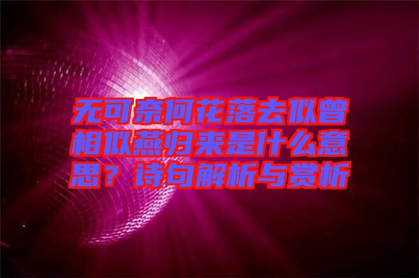 無可奈何花落去似曾相似燕歸來是什么意思？詩句解析與賞析