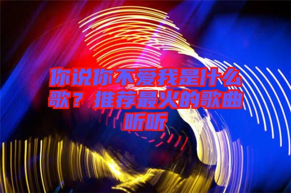 你說(shuō)你不愛(ài)我是什么歌？推薦最火的歌曲聽(tīng)聽(tīng)