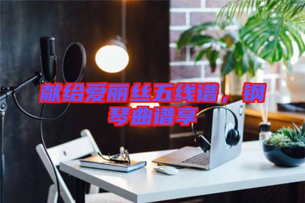 獻(xiàn)給愛(ài)麗絲五線譜，鋼琴曲譜享