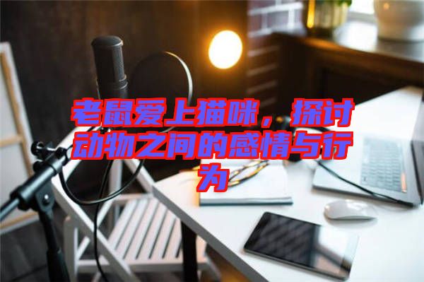 老鼠愛上貓咪，探討動物之間的感情與行為