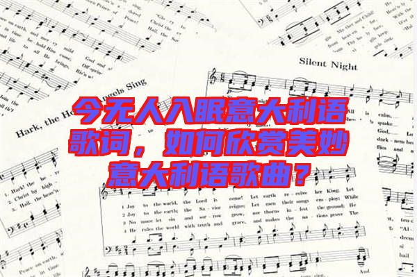 今無人入眠意大利語歌詞，如何欣賞美妙意大利語歌曲？