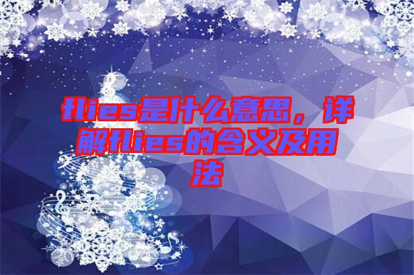 flies是什么意思，詳解flies的含義及用法
