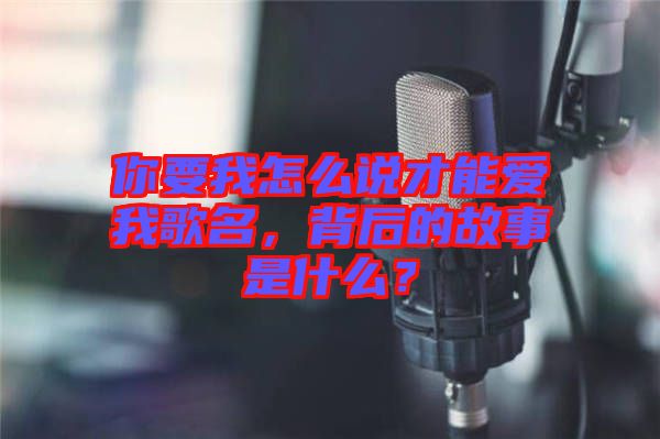 你要我怎么說(shuō)才能愛(ài)我歌名，背后的故事是什么？