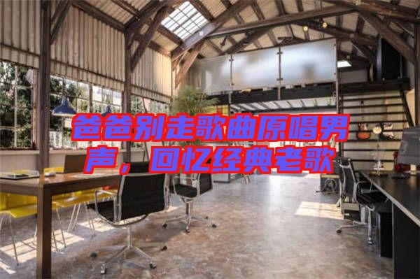 爸爸別走歌曲原唱男聲，回憶經典老歌