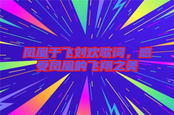 鳳凰于飛劉歡歌詞，感受鳳凰的飛翔之美