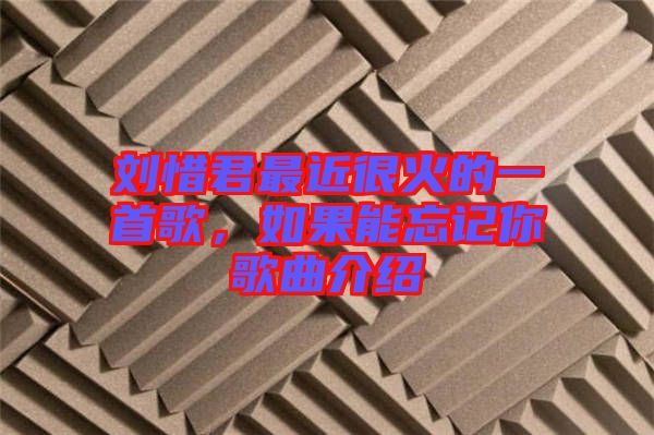 劉惜君最近很火的一首歌，如果能忘記你歌曲介紹