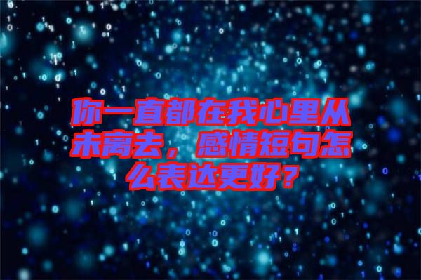 你一直都在我心里從未離去，感情短句怎么表達(dá)更好？