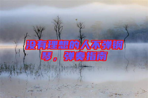 沒有理想的人不彈鋼琴，彈奏指南