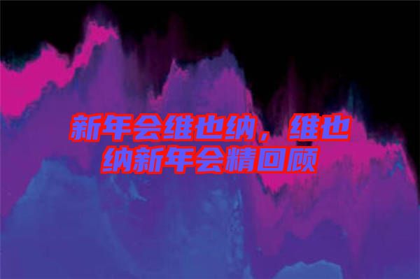 新年會維也納，維也納新年會精回顧