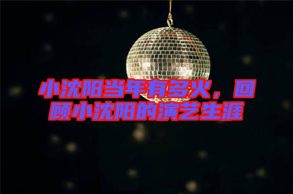 小沈陽當年有多火，回顧小沈陽的演藝生涯