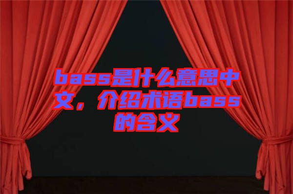 bass是什么意思中文，介紹術(shù)語bass的含義