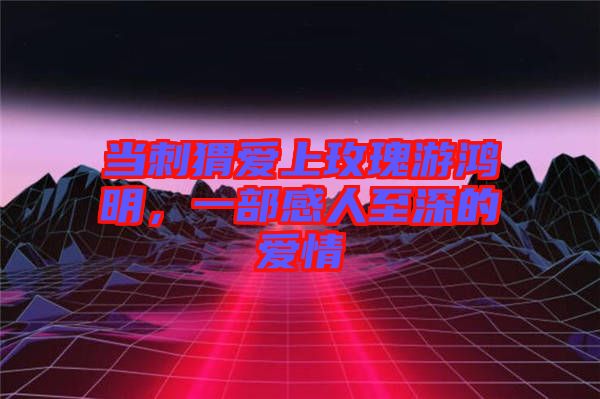當(dāng)刺猬愛上玫瑰游鴻明，一部感人至深的愛情