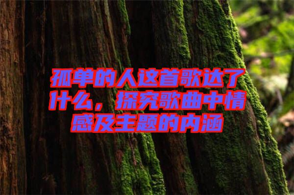 孤單的人這首歌達(dá)了什么，探究歌曲中情感及主題的內(nèi)涵