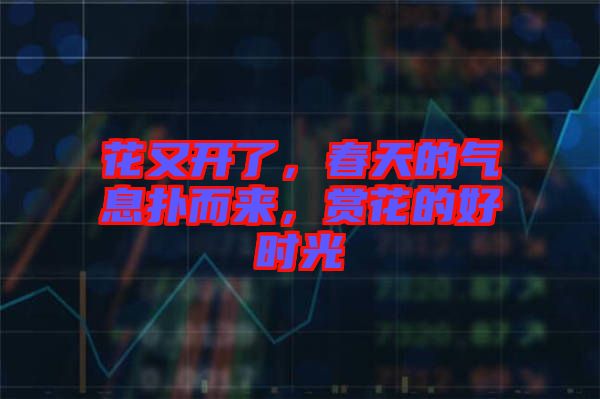 花又開了，春天的氣息撲而來，賞花的好時(shí)光