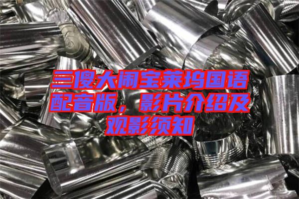 三傻大鬧寶萊塢國(guó)語(yǔ)配音版，影片介紹及觀影須知