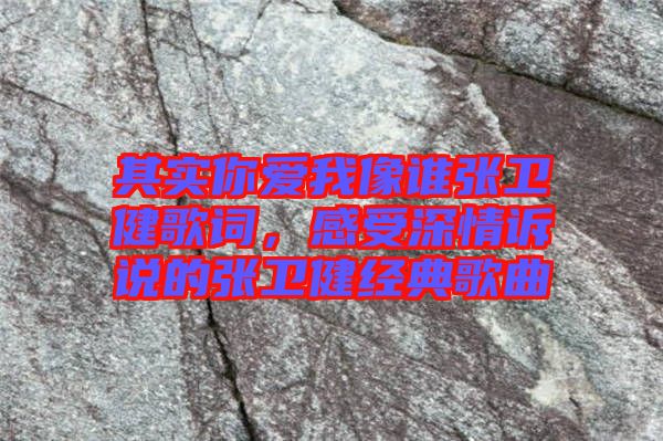 其實(shí)你愛我像誰張衛(wèi)健歌詞，感受深情訴說的張衛(wèi)健經(jīng)典歌曲