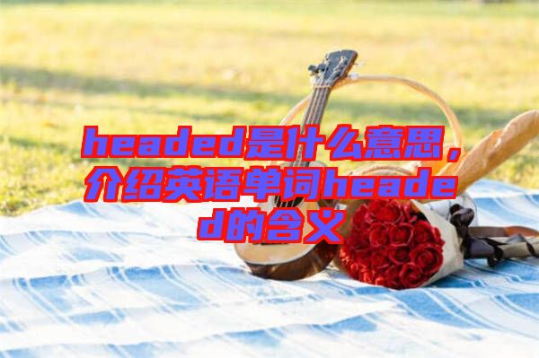 headed是什么意思，介紹英語(yǔ)單詞headed的含義