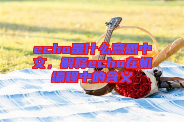 echo是什么意思中文，解釋echo在機(jī)編程中的含義