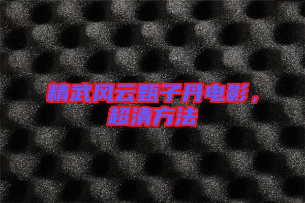 精武風云甄子丹電影，超清方法