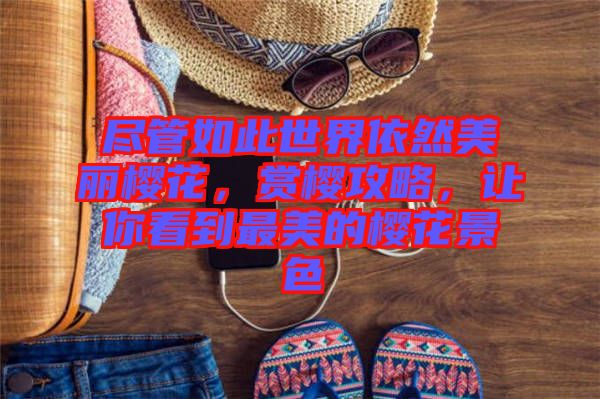 盡管如此世界依然美麗櫻花，賞櫻攻略，讓你看到最美的櫻花景色