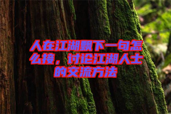 人在江湖飄下一句怎么接，討論江湖人士的交流方法