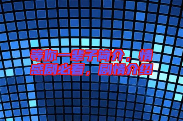 等你一輩子簡介，情感劇必看，劇情介紹