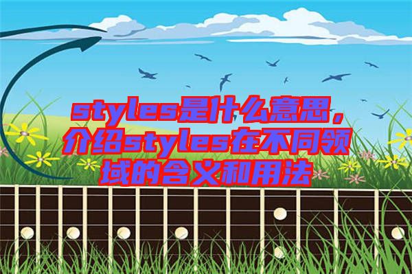 styles是什么意思，介紹styles在不同領(lǐng)域的含義和用法