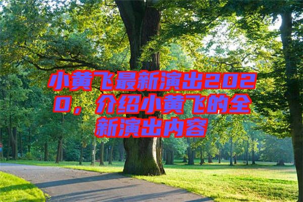 小黃飛最新演出2020，介紹小黃飛的全新演出內(nèi)容
