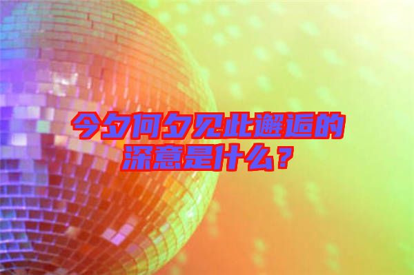 今夕何夕見此邂逅的深意是什么？