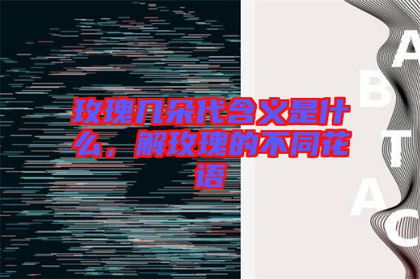 玫瑰幾朵代含義是什么，解玫瑰的不同花語