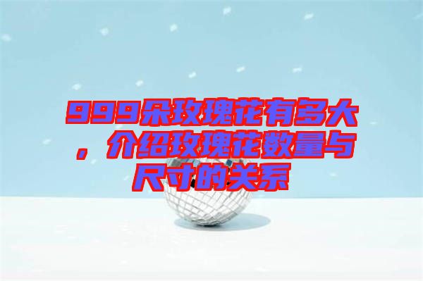 999朵玫瑰花有多大，介紹玫瑰花數(shù)量與尺寸的關(guān)系