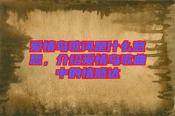 愛情鳥歌詞是什么意思，介紹愛情鳥歌曲中的情感達(dá)