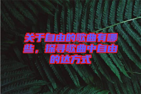 關(guān)于自由的歌曲有哪些，探尋歌曲中自由的達(dá)方式