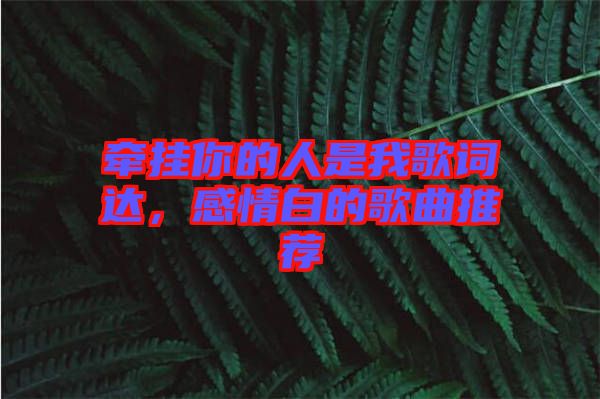 牽掛你的人是我歌詞達(dá)，感情白的歌曲推薦