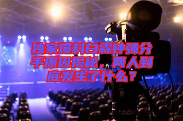獨家爆料白霖鐘強分手原因揭秘，兩人到底發(fā)生了什么？