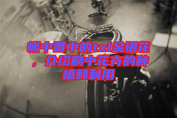 帳中香中的txl金銀花，介紹劇中花卉的種植和利用
