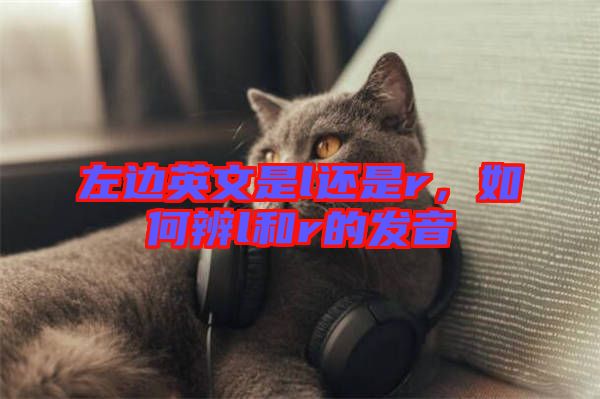 左邊英文是l還是r，如何辨l和r的發(fā)音