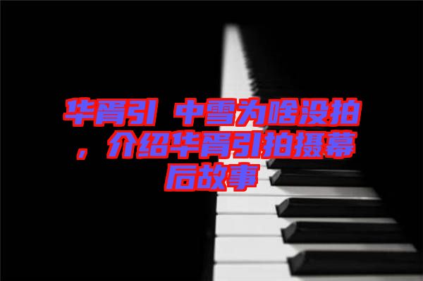 華胥引柸中雪為啥沒(méi)拍，介紹華胥引拍攝幕后故事
