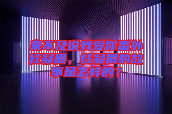 來不及說我愛你番外枉凝眉，枉凝眉的故事是怎樣的？