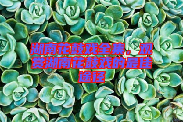 湖南花鼓戲全集，觀賞湖南花鼓戲的最佳途徑