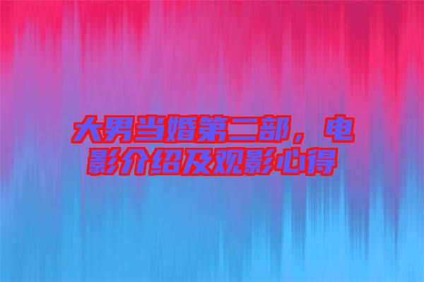 大男當(dāng)婚第二部，電影介紹及觀影心得
