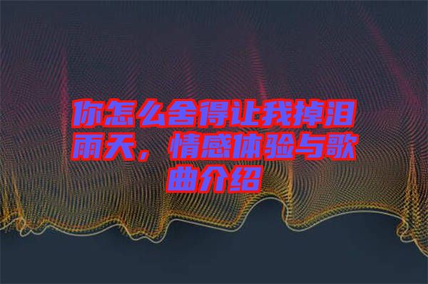 你怎么舍得讓我掉淚雨天，情感體驗(yàn)與歌曲介紹