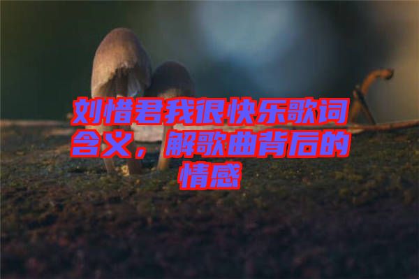 劉惜君我很快樂歌詞含義，解歌曲背后的情感