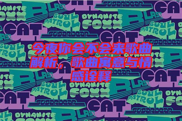 今夜你會(huì)不會(huì)來(lái)歌曲解析，歌曲寓意與情感詮釋